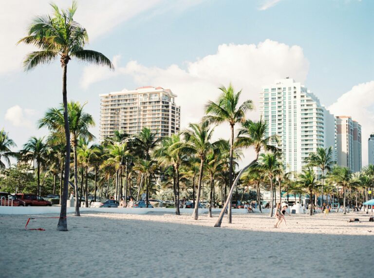A bright, wide-angle photograph of the sandy shoreline at South Beach in Miami, Florida, lined with tall coconut palm trees and framed by modern, high-rise luxury apartment buildings and a clear, blue sky.